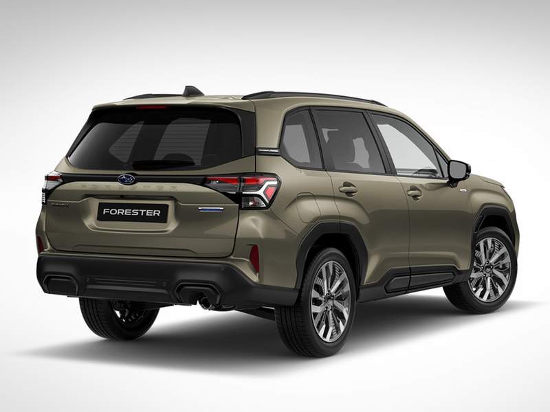 subaru-forester-back-view